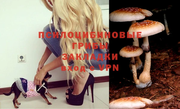 наркотики Заволжье