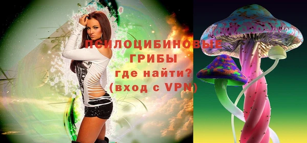 не бодяженный Заводоуковск