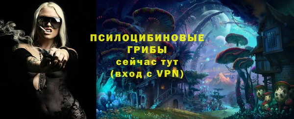соль курить ск Богданович