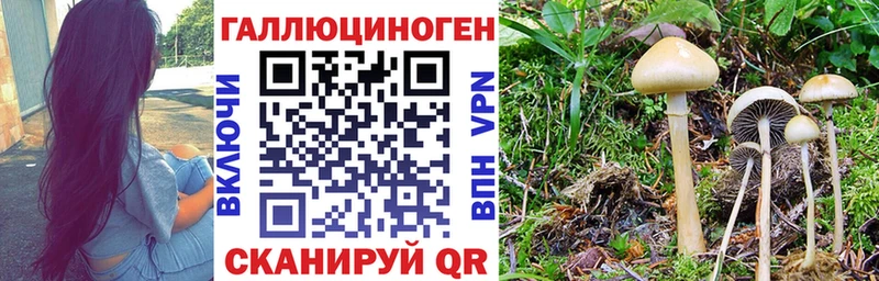 Псилоцибиновые грибы GOLDEN TEACHER  Белая Холуница 