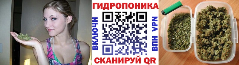 нарко площадка какой сайт  Белая Холуница  Шишки марихуана гибрид 
